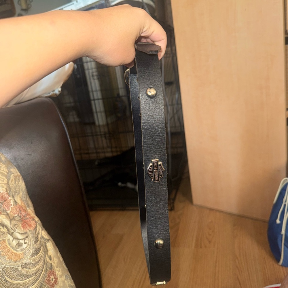 Black Leather Strap with Silver Hardware